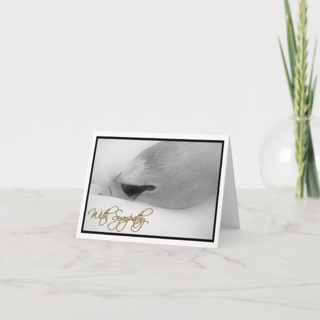 "Con la tarjeta de la condolencia" (Anverso)