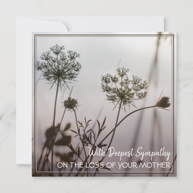 Con Más Compasión Por La Pérdida De Su Madre (Anverso)