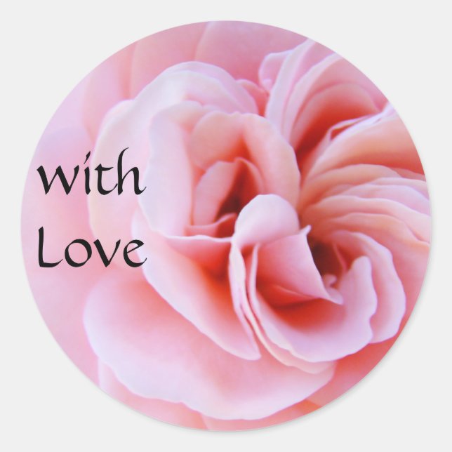 con Pegatinas de Amor Flor Rosa Rosa Espiral (Anverso)