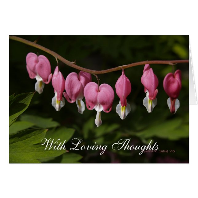 Con pensamientos cariñosos (Anverso (Horizontal))