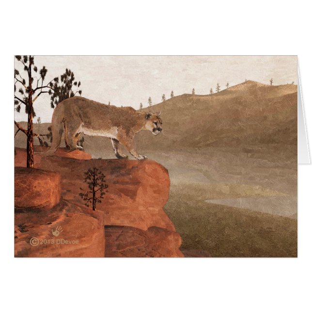 Concentración - Cougar (Anverso (Horizontal))