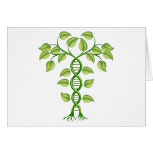 Concepto de la planta de la DNA