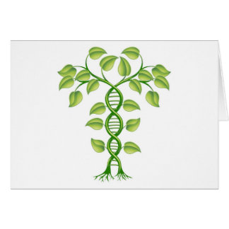 Concepto de la planta de la DNA