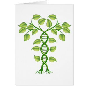 Concepto de la planta de la DNA