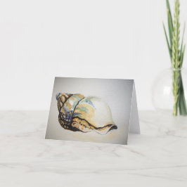Conch Shell - Tarjeta de saludo en blanco