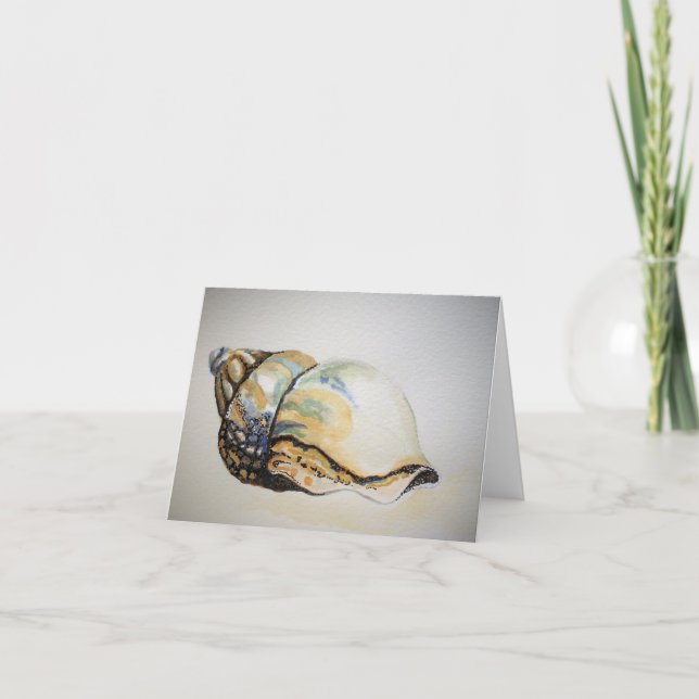 Conch Shell - Tarjeta de saludo en blanco (Anverso)
