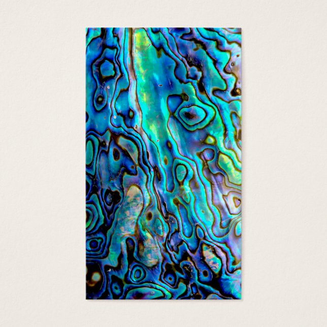 Concha de Abalone (Frente)