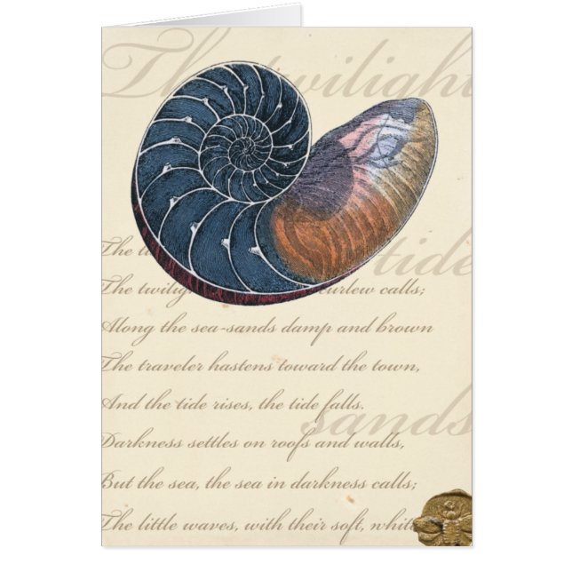 Concha de mar romántica (Frente)