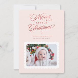 Concha de Navidad Pequeña Navidad Primera Navidad