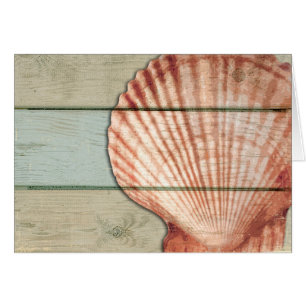 Concha de peregrino Shell