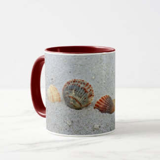Concha de una Taza