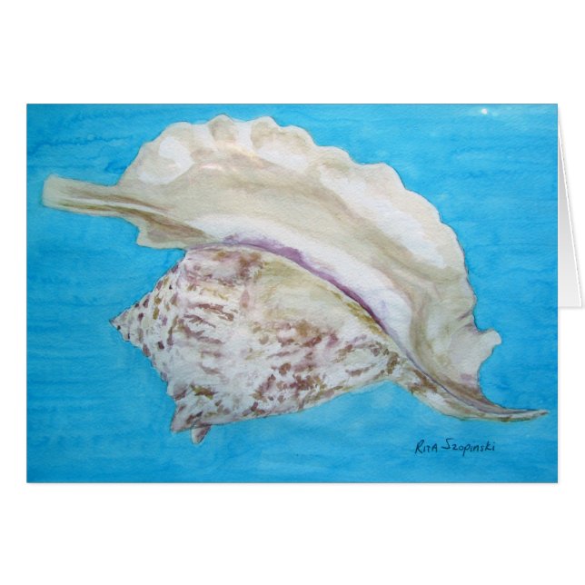 Concha del gallo (Anverso (Horizontal))