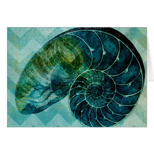 Concha espiral turquesa
