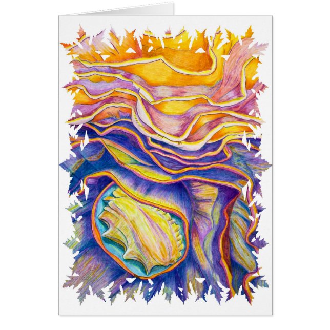 Concha Shell (Frente)