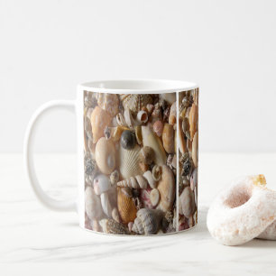 conchas de tazas