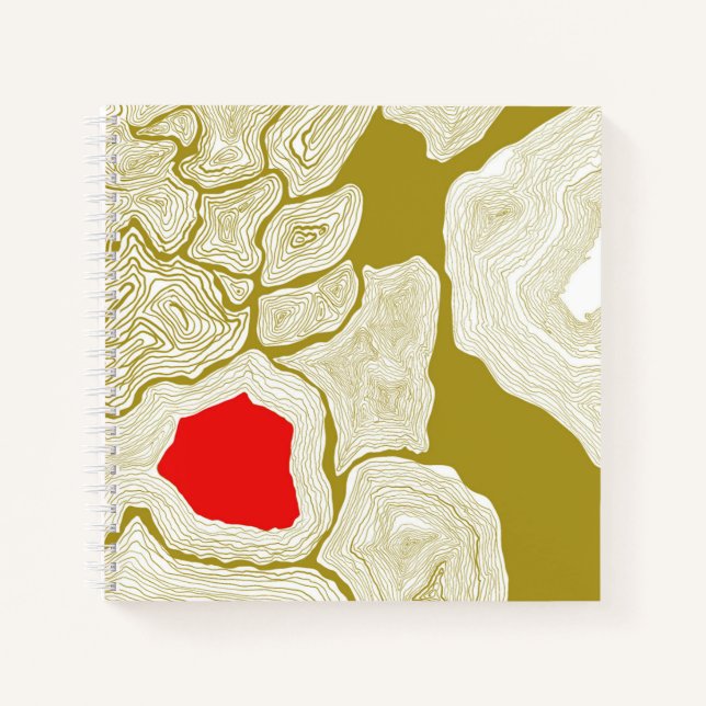 Concursos, libro topográfico (Anverso)