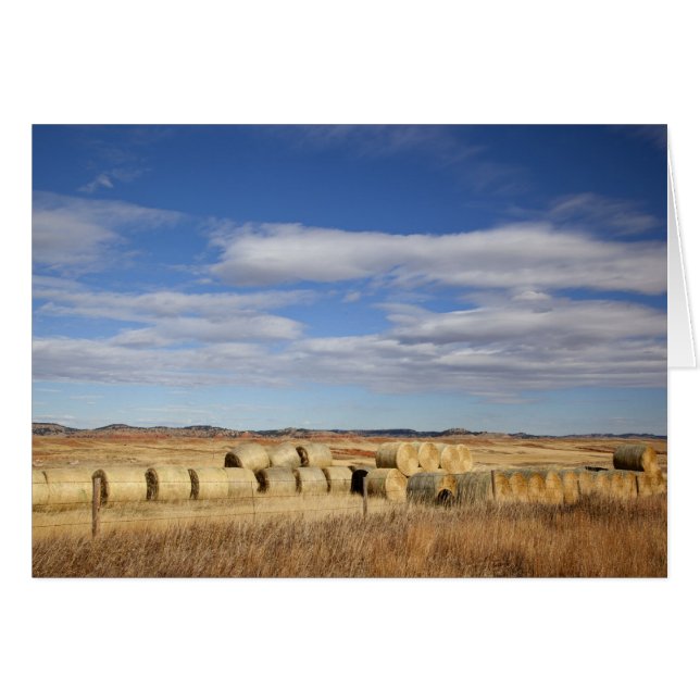 Condado de Crook, Hay Bales (Anverso (Horizontal))