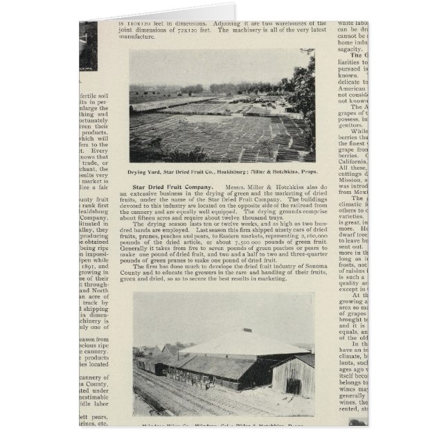 Condado de Sonoma, California (Frente)