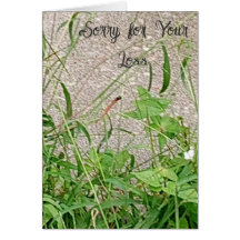 Condolences: Sorry for Your Loss