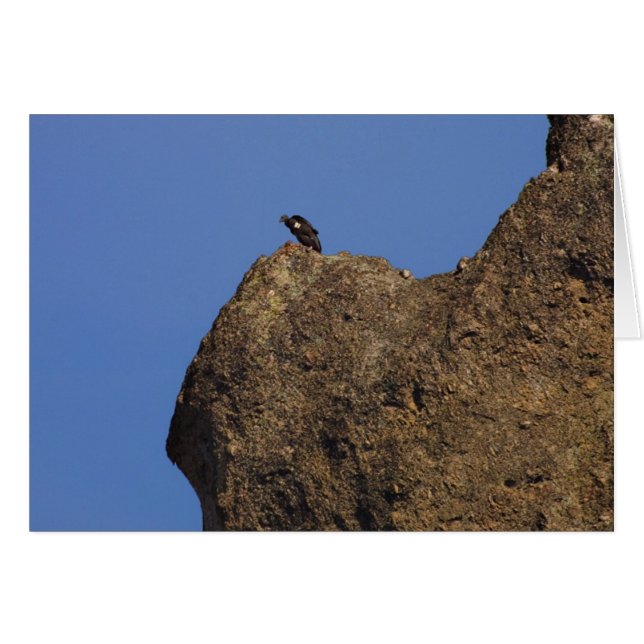 Condor #87 (Anverso (Horizontal))