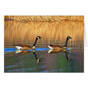 Conductor de Seat trasero