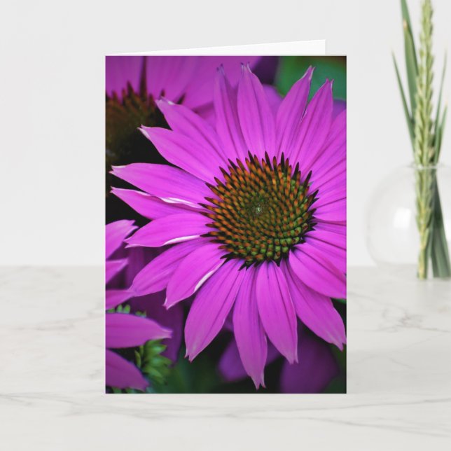 Coneflower, tarjeta (Anverso)