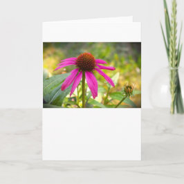 Coneflower, tarjeta
