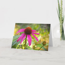Coneflower, tarjeta