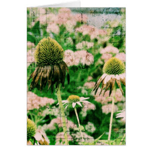 Coneflowers Grunge