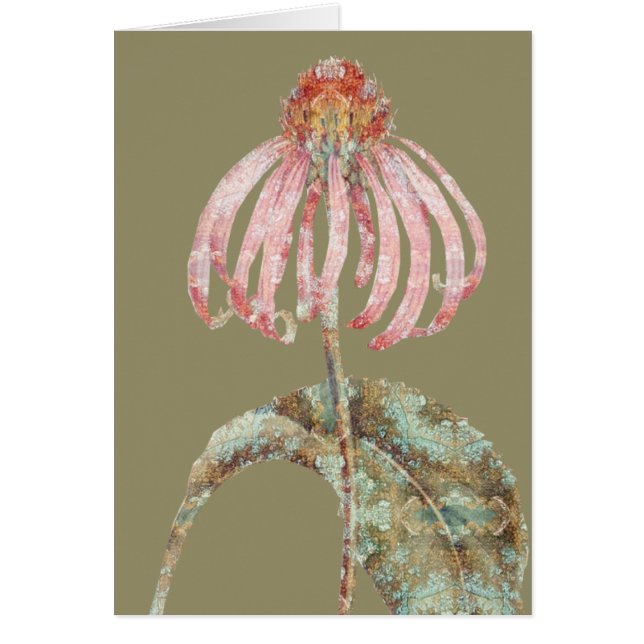 Conefriente (Frente)