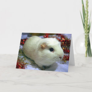Conejillo de Indias de la tarjeta de Navidad