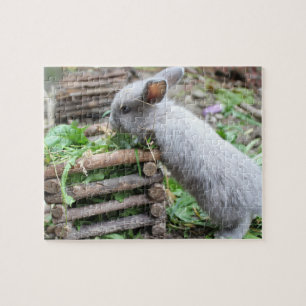 conejillo gris conejito de pascua 5 puzle