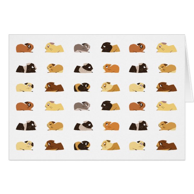 Conejillos de Indias (Anverso (Horizontal))