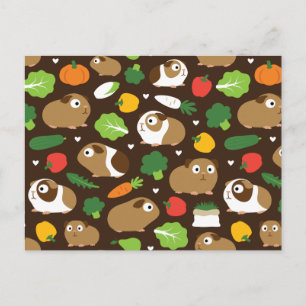 Conejillos de Indias y sus invitaciones