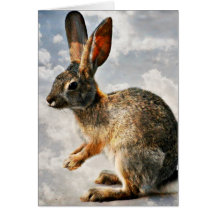 Conejito de rogación en los cielos