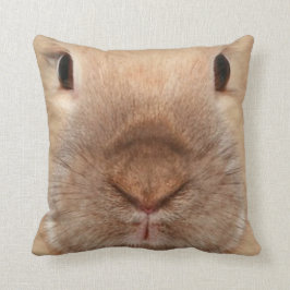 conejito del mascota de la almohada