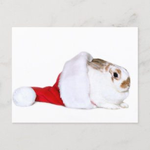 Conejito del navidad