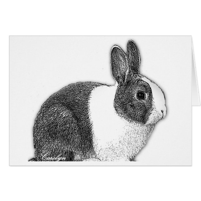 Conejito holandés (Anverso (Horizontal))