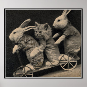 Conejitos de la sepia del vintage y impresión del