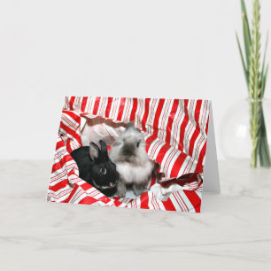 Conejitos del navidad del Peekaboo