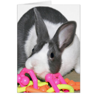 Conejo bebé con juguete para bebés