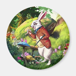Conejo blanco Alicia en los imanes de Pascua en e