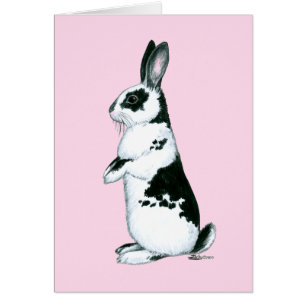 Conejo: blanco y negro