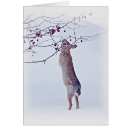 Conejo de arveja de Crabapple