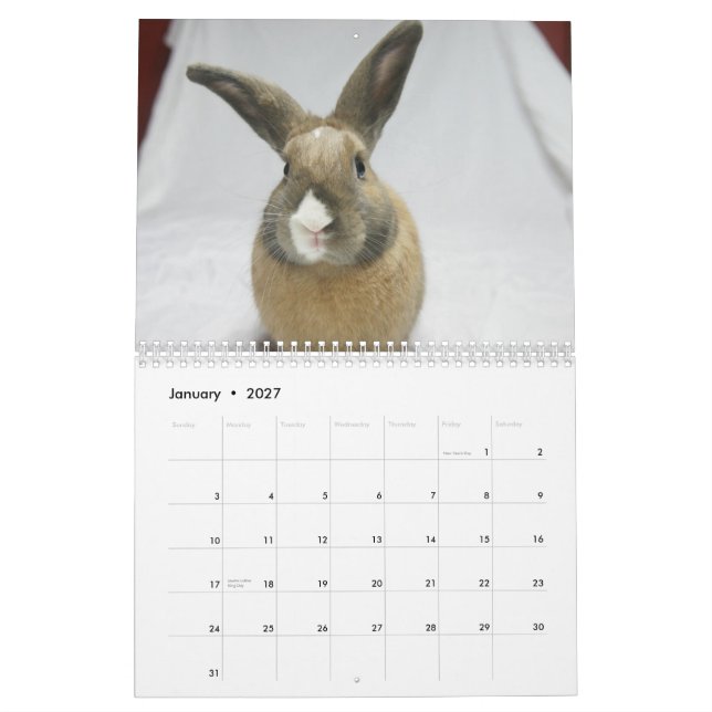 Conejo de conejito de MHRR Honeybadger calendario (Jan 2027)