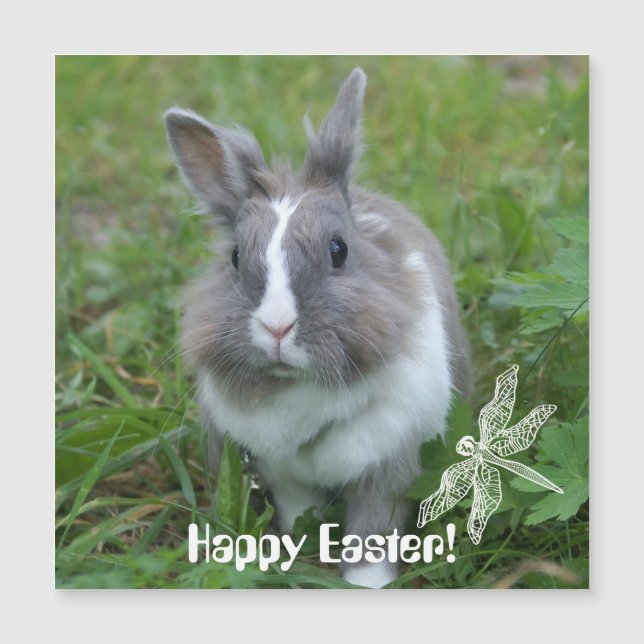 Conejo de conejo (Anverso)