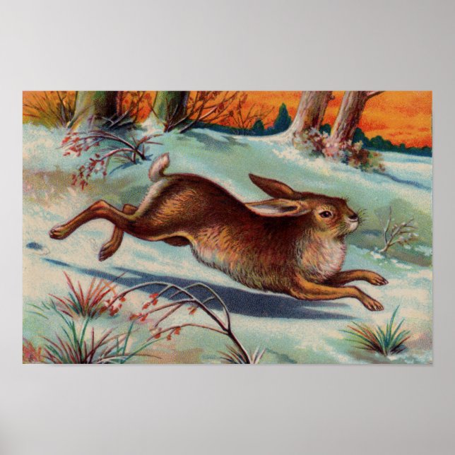 Conejo de Diciembre Pequeño Póster (Frente)