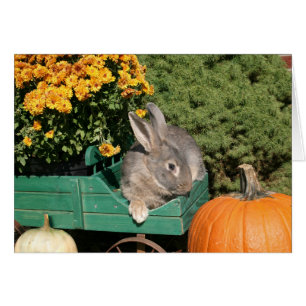 Conejo de otoño