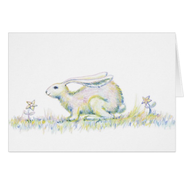 Conejo del arco iris (Anverso (Horizontal))