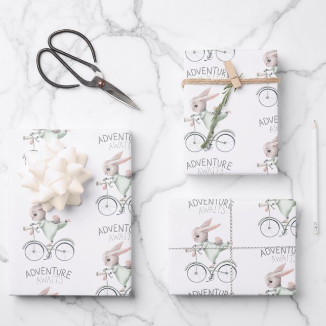 Conejo en hojas de papel para envolver bicicletas (Anverso)